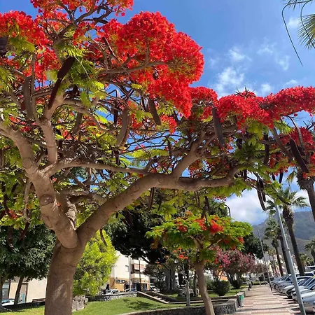 Seaview - Pool, Air Con, Office Ready Адехе